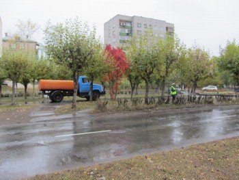 Зачем поливать в дождь Зачем поливать в дождь