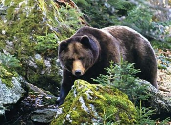 0_6f416_b34d6470_XL.jpg
