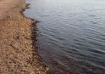 thumb116aab29e7.jpg